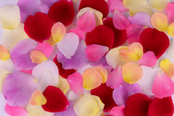 Background of rose petals of different colors.
