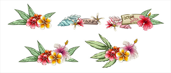 Tropical summer banners set, sea beach objects for your design projects, flowers of hibiscus and plumeria, palm leaf, sea shells, wooden tag © Dreaming_Lucy