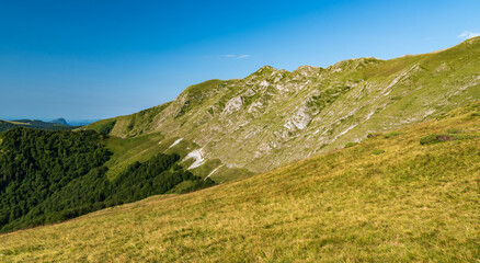 Beautiful mountain scenery of Carpathian mountains in Romania with hill with limestone rocks, meadows, forest and clear sky