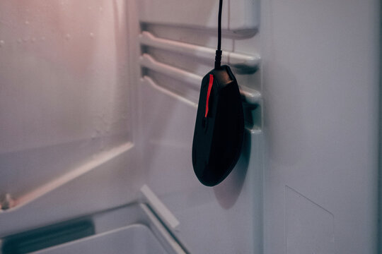 Hanging computer mouse in the empty fridge. Hunger concept