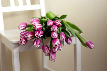 Purple tulips lie on a white chair, in a room