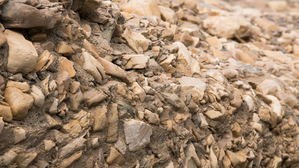Natural Abstraction in Stone