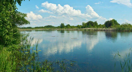 Summer lake and blue sky with cumulus clouds. Ukrainian landscape.