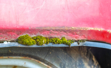 Detail of an old abandoned rusty red car. Moss grows on the wing of the car and the paint peels off. Detail view of green moss lichen. The concept of the problem of humid climate