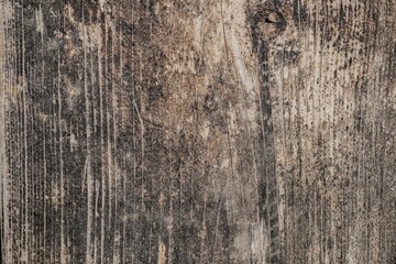 Fototapeta premium Wooden rough timber old aged. material wall