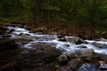 Naklejka na ściany i meble Beautiful autumn landscape of flowing cascade water in a mountain river