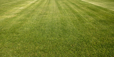 Perfect lawn. Freshly cut lawn. New lawn. Trimmed grass. Neat lawn. Clean lawn.