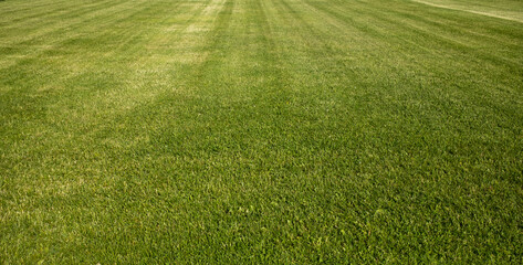Perfect lawn. Freshly cut lawn. New lawn. Trimmed grass. Neat lawn. Clean lawn.