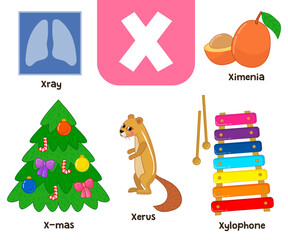 English alphabet in pictures — Children's colored letter X — vector illustration