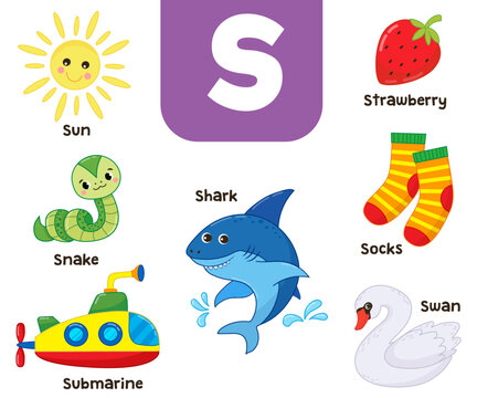 English alphabet in pictures — Children's colored letter S — vector illustration