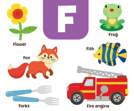 English alphabet in pictures — Children's colored letter F — vector illustration