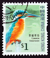 Common kingfisher, Alcedo atthis (Hong Kong 2006) - obrazy, fototapety, plakaty