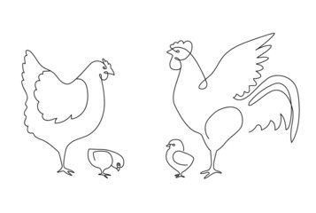 Fototapeta na wymiar One line chicken family. Rooster, hen and chickens, farm birds continuous line vector illustration