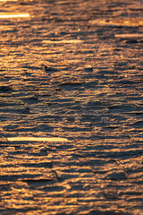 Stone block pavement in the rays of the setting sun. Texture