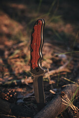 Tactical knife for survival and protection in difficult conditions, stuck tree branch forest.