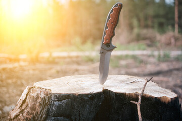 Tactical knife for survival and protection difficult conditions, stuck in the stump sawn tree in forest. - obrazy, fototapety, plakaty
