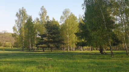 Berlin Spandau Hahneberg