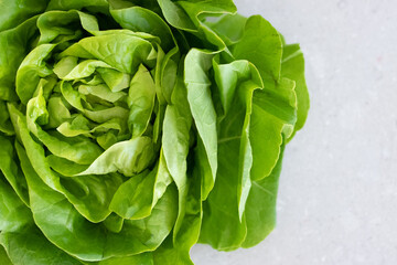 Head of lettuce isolated on white background