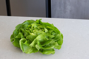 Head of lettuce isolated on white background