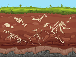 Soil layers with fossils. Ground layers with dinosaur bones and fossil skeletons, paleontology excavations cartoon vector illustration © WinWin