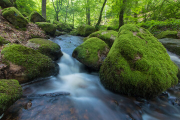 cascade de Brisecou en Bourgogne dans la forêt près d'Autun au printemps
