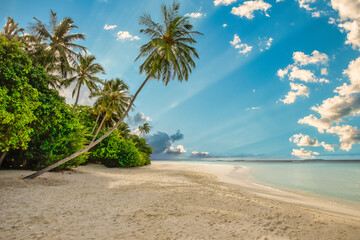 Best summer beach landscape. Tranquil tropical island, paradise coast, sea lagoon, horizon, palm...