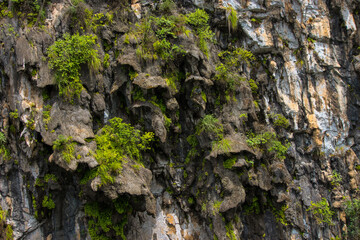 nature photograph of an impressive rock formation full of plants on the side of the li river in the guilin region of china that could be used as a wallpaper