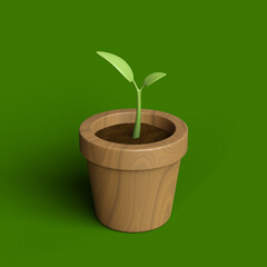 plant in a pot isolated on green