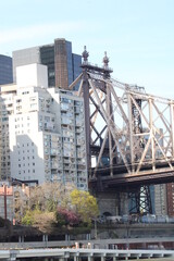 New York Scapes and Follies