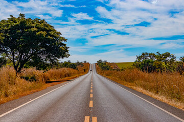 Naklejka premium Highway of Center of Brazil
