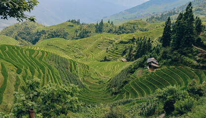 Panoramic landscape photography of the Longji Rice Terraces located in Longsheng County, near...