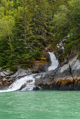 Skagway, Alaska, USA - July 20, 2011: Taiya Inlet above Chilkoot Inlet. Portrait of last 10 meters of waterfall reaching green ocean water surfing over brown-gray rocks cutting through green foliage