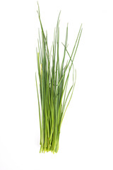 Bunch of fresh, green chives on a white background. Green spring vegetables, isolated. Packshot photo.
