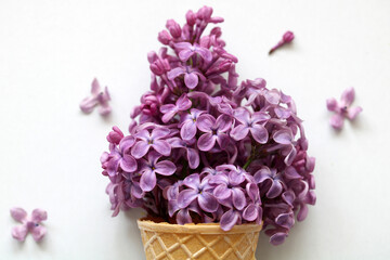 purple lilac like ice cream on a white