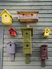 Many different color and type bird houses. The concept of helping the birds.