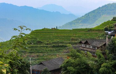 Panoramic landscape photography of the Longji Rice Terraces located in Longsheng County, near Guilin, Guangxi, China.