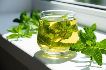 Ice tea with mint in glass with fresh mint leaves around. Homemade cold refreshing drink.