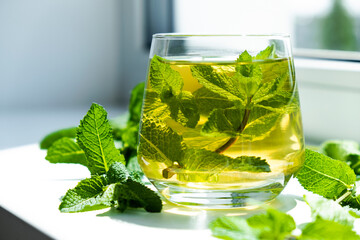 Ice tea with mint in glass with fresh mint leaves around. Homemade cold refreshing drink.