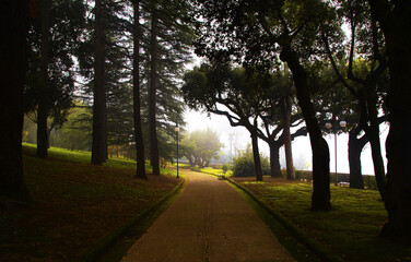 Parco di benevento durante la nebbia