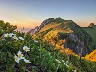 last rays of sun on the bockmattli mountain, bockmattlistock in the canton of glarus,schwyz.Sunset...