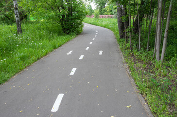 Bicycle path in the forest park with markings and direction arrows.