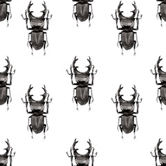 Lucanus cervus beetle watercolor illustration. Hand painted pattern