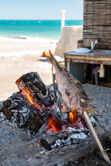 Malaga style of preparation of fresh fish, catch of the day, on skewers and open flame on fireplace with olive trees wood