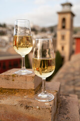 Tasting of sweet and dry fortified Vino de Jerez sherry wine with view on roofs and houses of old andalusian town