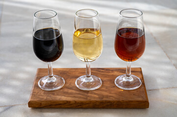Tasting of Spanish sweet and dry fortified Vino de Jerez sherry wine