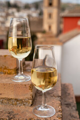 Tasting of sweet and dry fortified Vino de Jerez sherry wine with view on roofs and houses of old andalusian town