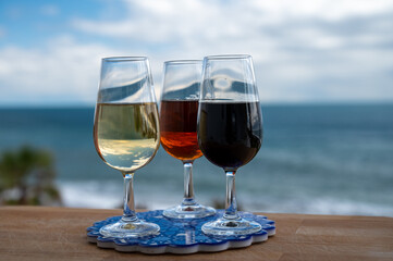 Tasting of Spanish sweet and dry fortified Vino de Jerez sherry wine and green olives with view on blue sea near El Puerto de Santa Maria, Andalusia, Spain