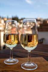 Tasting of sweet and dry fortified Vino de Jerez sherry wine with view on roofs and houses of old andalusian town
