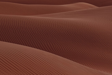 Close up of the majestic lines, curves, and textures of the sand dunes in Al Wathba Desert in Abu Dhabi, United Arab Emirates.