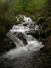 Fototapeta premium Cascada